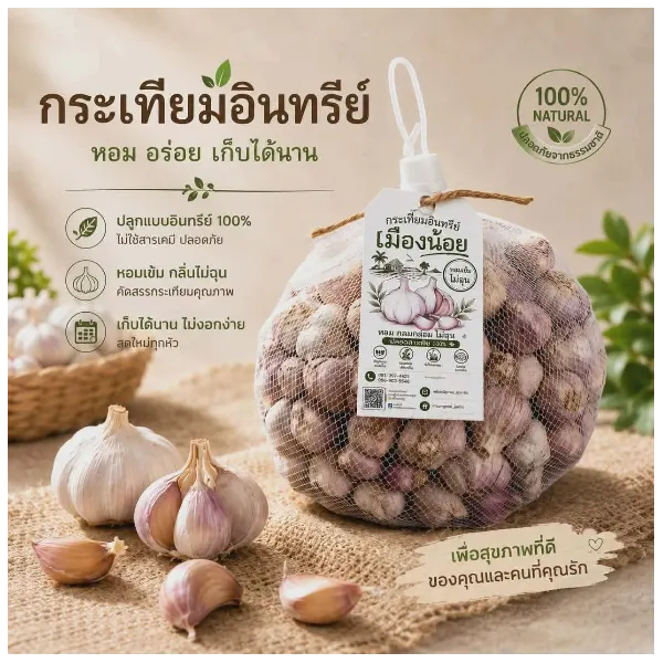 กระเทียมอินทรีย์บ้านเมืองน้อย แบบตัดหัว บรรจุถุง 500 กรัม