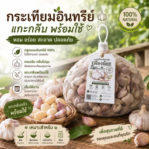 กระเทียมอินทรีย์เมืองน้อย แกะกลีบ