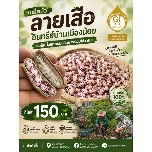 เมล็ดถั่วลายเสืออินทรีย์บ้านเมืองน้อย GI แม่ฮ่องสอน แกะพร้อมใช้ 1 กก.