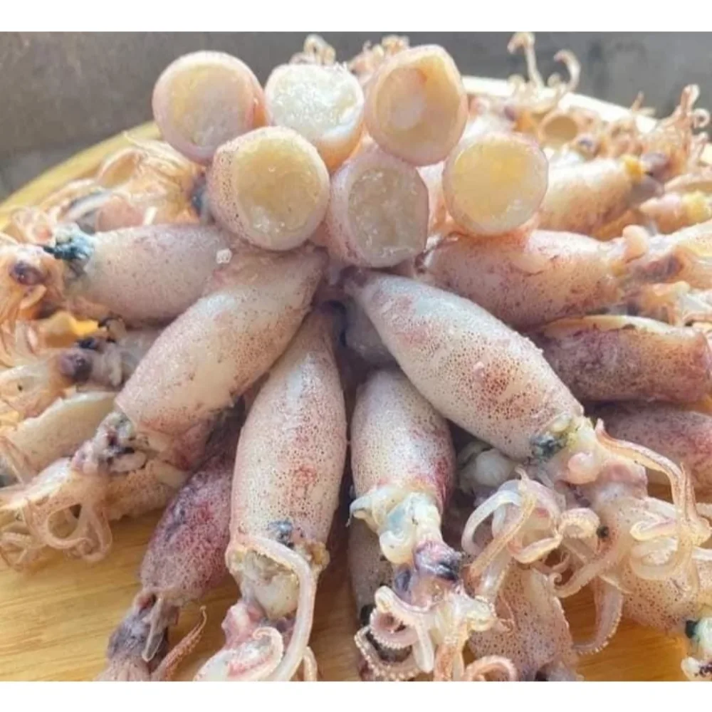 หมึกกะตอยไข่ต้ม ไข่แน่นทุกตัว เนื้อหวาน จากทะเลปากน้ำปราณ