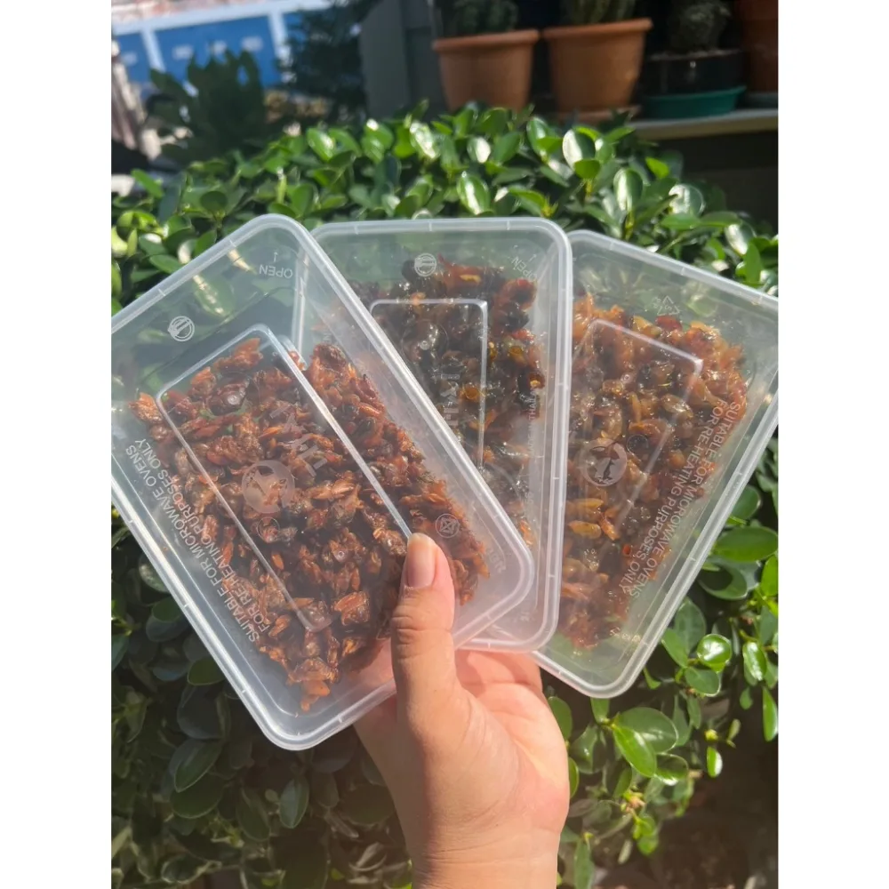 Set สุดคุ้ม !!! 2 แถม 1 หอยลาย+หอยพิม ขนาด 150 กรัม แถมหอยลายกรอบ 100 กรัม