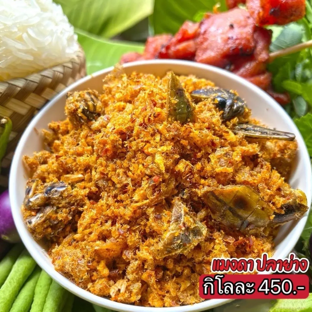 น้ำพริกแมงดาปลาย่าง สดใหม่ ทานอร่อย ราคาส่ง!!