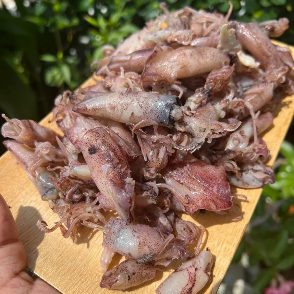 หมึกกระตอยต้ม 250Kg. เนื้อหวาน อร่อย สดใหม่ จากทะเลปากน้ำปราณ