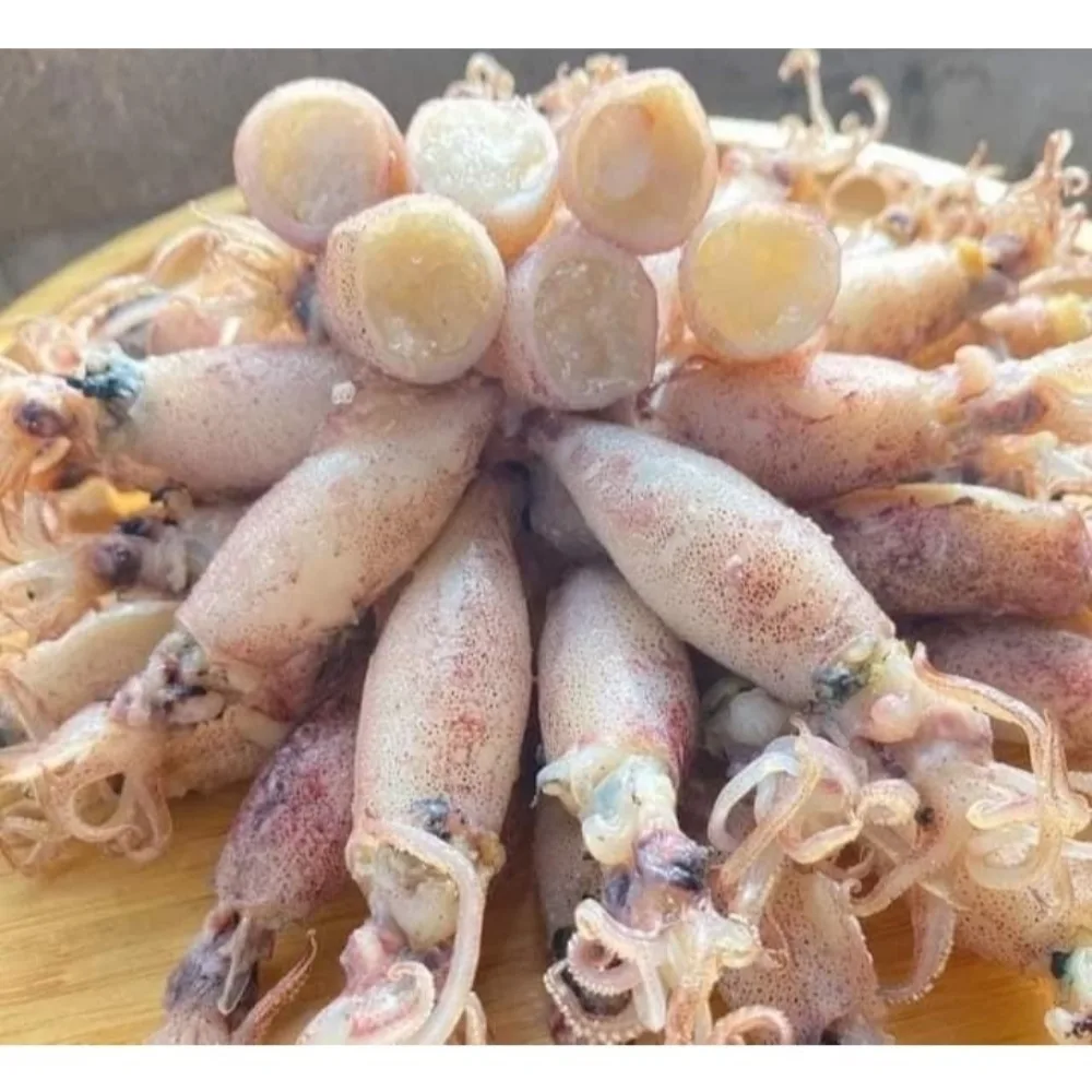 หมึกกะตอยไข่ต้ม ไข่แน่นทุกตัว เนื้อหวาน จากทะเลปากน้ำปราณ 100, 200, 250g.