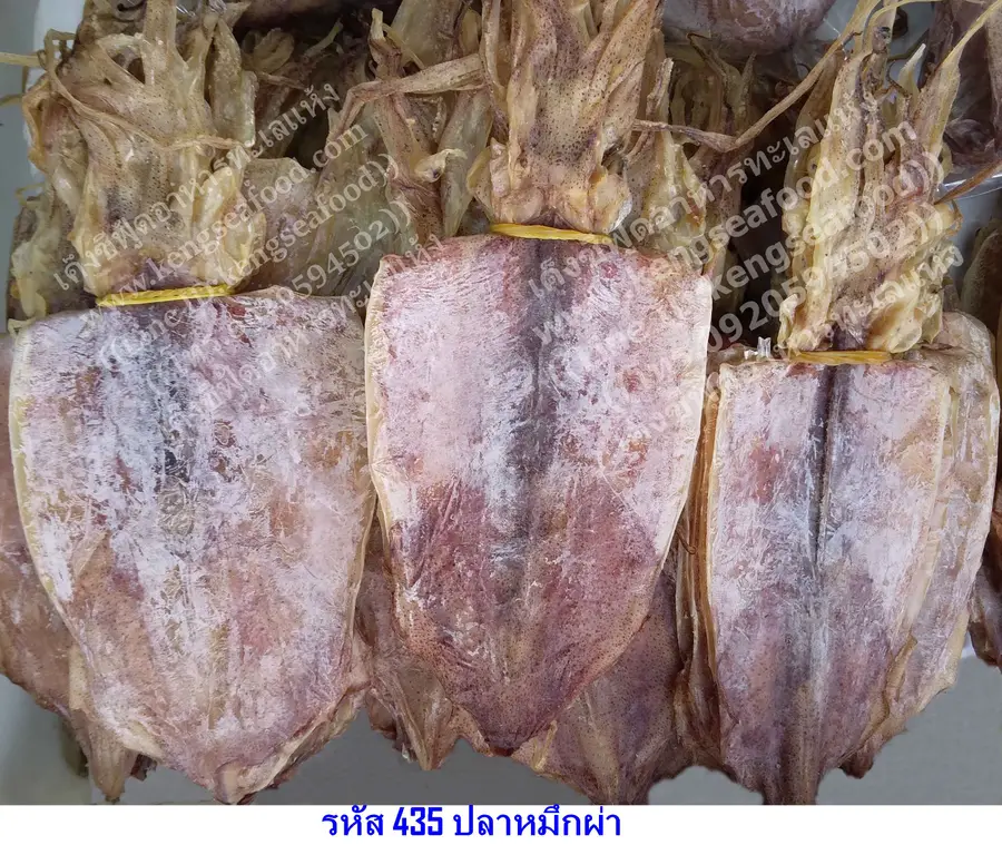 หมึกผ่า ขนาด 5 นิ้ว